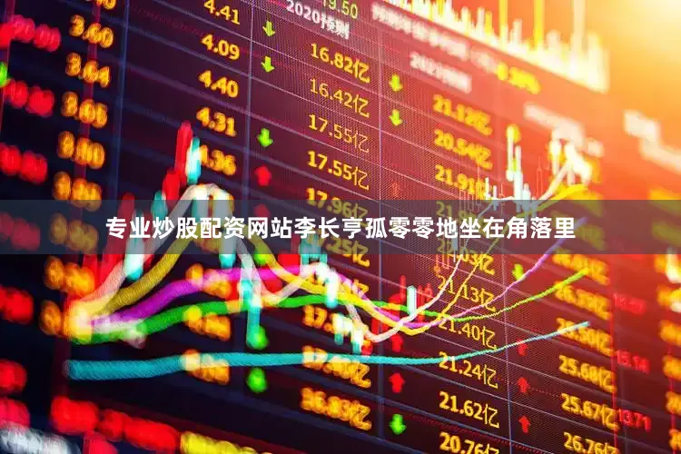 专业炒股配资网站李长亨孤零零地坐在角落里
