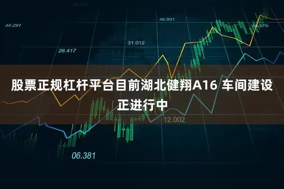 股票正规杠杆平台目前湖北健翔A16 车间建设正进行中